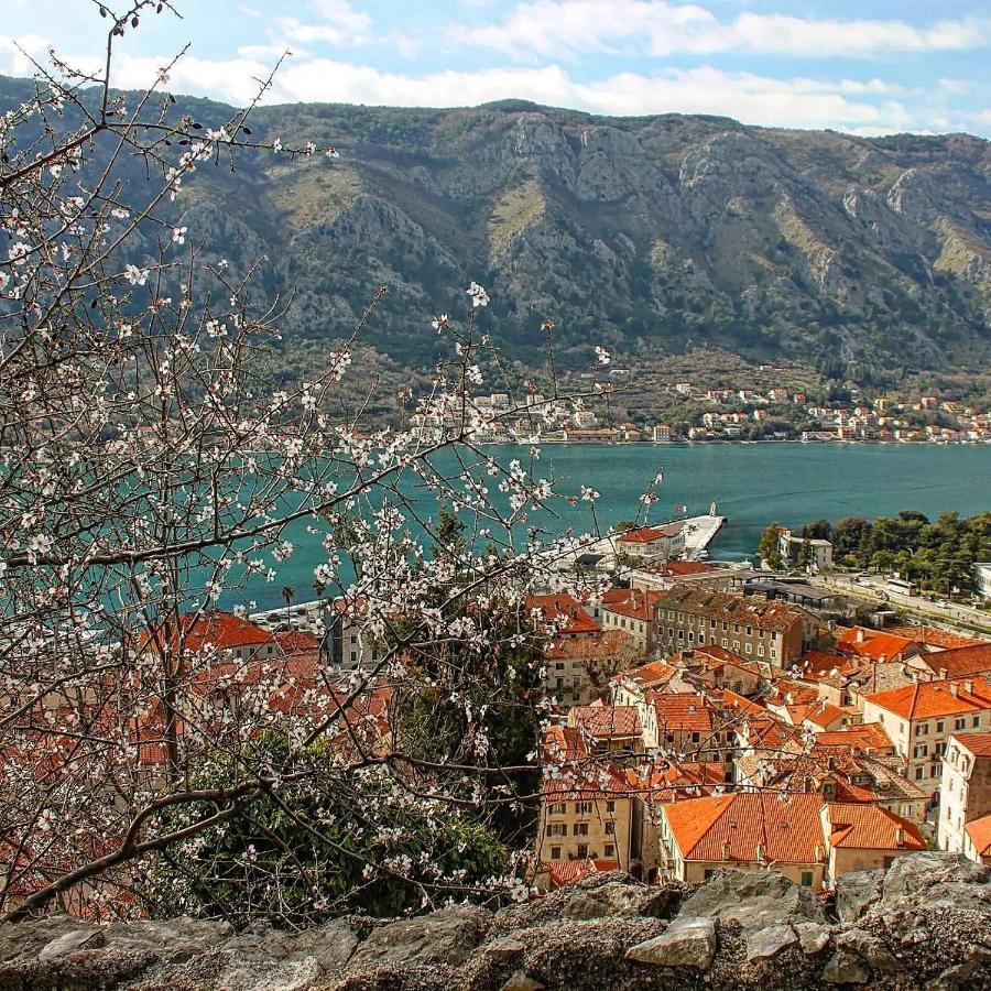 Old Town Boskovic Apartment كوتور المظهر الخارجي الصورة